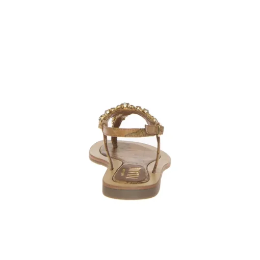 ALVIERO MARTINI 1^ CLASSE Z0458-9751-0010 INFRADITO GEO STRASS