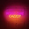 INSULTI LUMINOSI "POSSO DIRE CAZZO?"