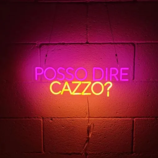 INSULTI LUMINOSI "POSSO DIRE CAZZO?"