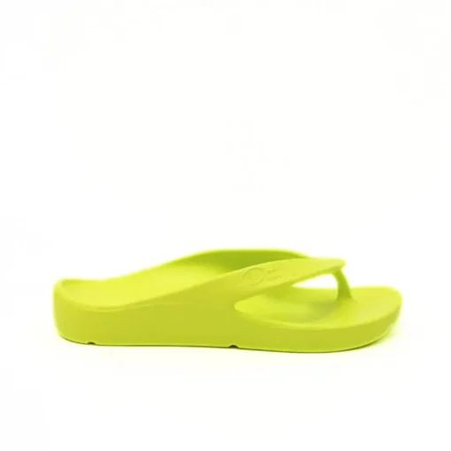 PETER LEGWOOD INFRADITO SHARK VERDE ACIDO